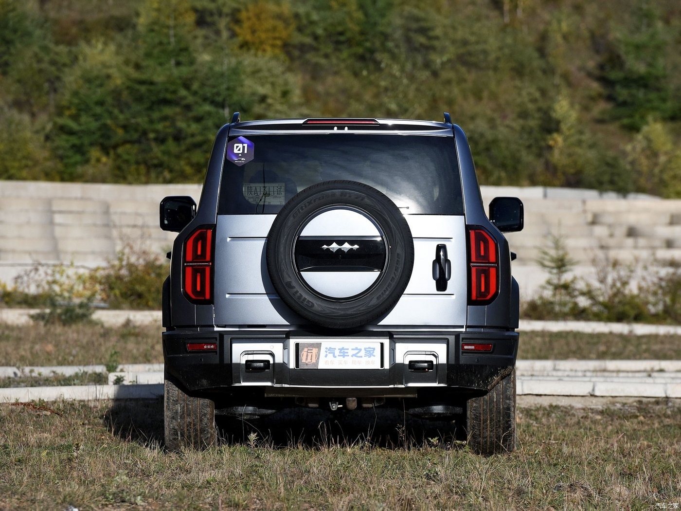 Фото от Роман (14)