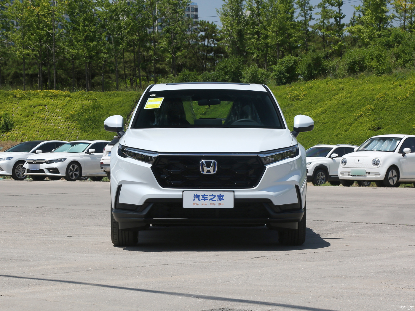 Фото от Роман (25)