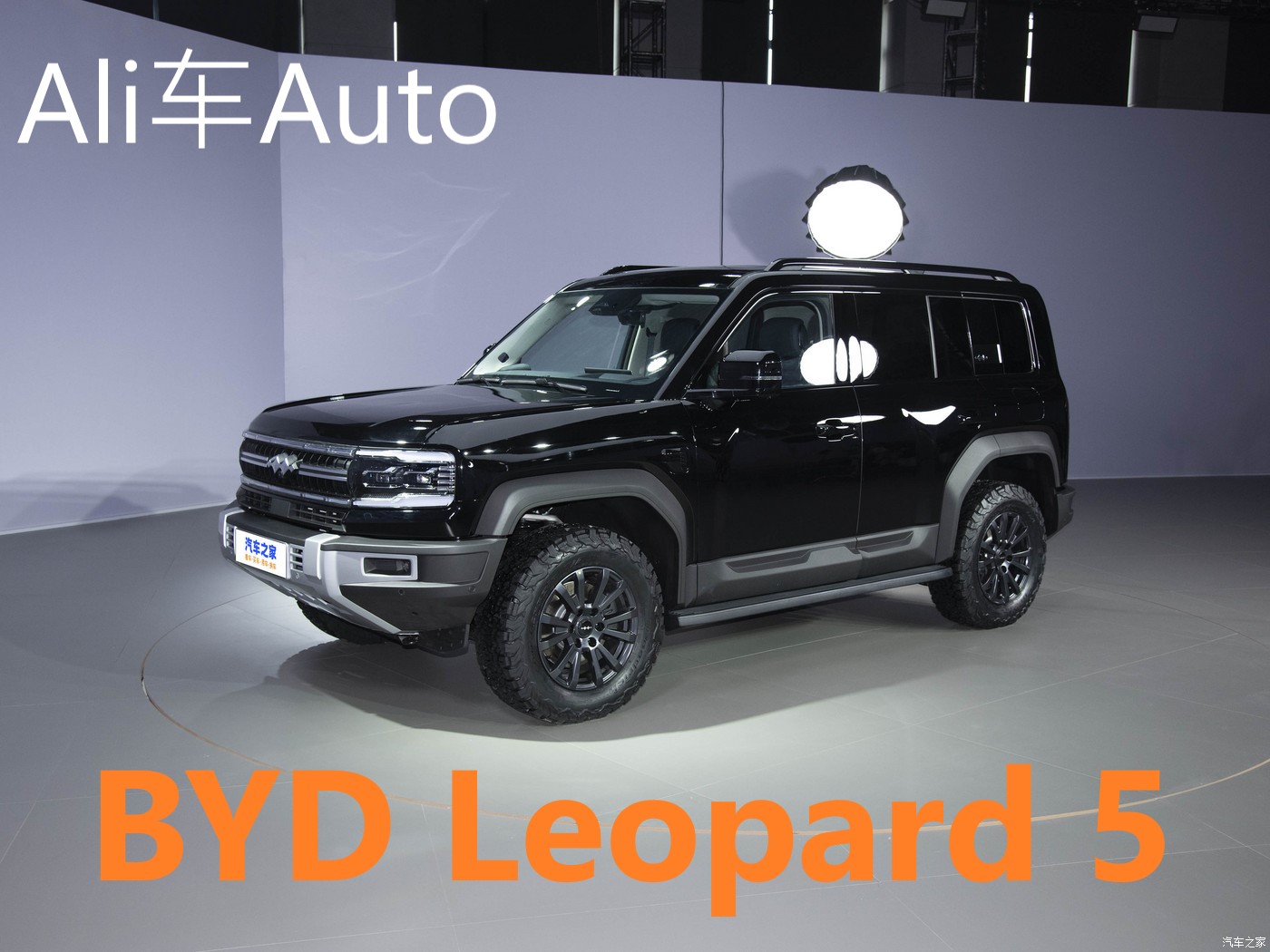 Фото от Роман (7)