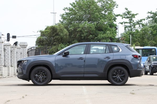 Фото от Роман (12)